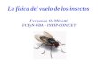 La física del vuelo de los insectos Fernando O. Minotti FCEyN-UBA – INFIP-CONICET