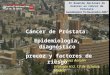 Hospital Universitario 12 de Octubre Madrid Cáncer de Próstata: Epidemiología, diagnóstico precoz y factores de riesgo Dr. A. Rguez Antolín Urología H.U