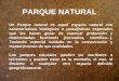 PARQUE NATURAL Un Parque natural es aquel espacio natural con características biológicas o paisajísticas especiales que les hacen gozar de especial protección