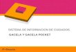 SISTEMA DE INFORMACION DE CUIDADOS GACELA Y GACELA POCKET