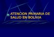 ATENCION PRIMARIA DE SALUD EN BOLIVIA. DECADA DEL 80 Su implementacion está circunscrita a los cambios politicos, sociales y economicos