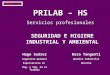PRILAB – HS Servicios profesionales SEGURIDAD E HIGIENE INDUSTRIAL Y AMBIENTAL Hugo Suárez Ingeniero Químico Especialista en Hig. y Seg. en el Trabajo