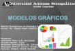 Modelos Matemáticos en Biología I Asesor: Dr. Miguel Ángel Armella Presentan: Constante Pérez Luis Guillermo Estrada Sánchez Iveth Hernández Gorrosquieta