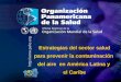 Organización Panamericana de la Salud.... Estrategias del sector salud para prevenir la contaminación del aire en América Latina y el Caribe