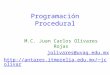 Programación Procedural M.C. Juan Carlos Olivares Rojas jolivares@uvaq.edu.mx jcolivar Agosto, 2009