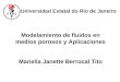 Modelamiento de fluidos en medios porosos y Aplicaciones Mariella Janette Berrocal Tito Universidad Estatal do Rio de Janeiro