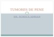 DR. SCROCA ADRIAN TUMORES DE PENE. ANATOMIA PENEANA