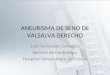 ANEURISMA DE SENO DE VALSALVA DERECHO Luis Fernández González Servicio de Cardiología Hospital Universitario de Cruces