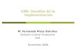 SBR: Desafíos de la Implementación M. Fernanda Plaza Sánchez División Control Financiero SVS Diciembre 2006