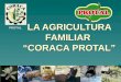 LA AGRICULTURA FAMILIAR “CORACA PROTAL” PROTAL. CORACA PROTAL  CORACA PROTAL asocia a productores de locoto en polvo y miel de abejas de: –Qory Mayu