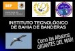 INSTITUTO TECNOLÓGICO DE BAHIA DE BANDERAS. HISTORIA Ago 1993 Extensión ITMAR-2 Mazatlán Ago 1993 Extensión ITMAR-2 Mazatlán Inicia Lic. Admon. Empresas