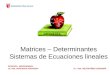 Matrices – Determinantes Sistemas de Ecuaciones lineales DOCENTES RESPONSABLES: Lic. Mat. JAIME BACA GOICOCHEA Lic. Mat. MELVIN PÉREZ ECHEANDÍA