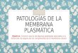 PATOLOGÍAS DE LA MEMBRANA PLASMÁTICA Objetivo: Conocer acerca de algunas patologías asociadas a la disfunción de alguno de los componentes de la membrana