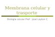 Membrana celular y trasporte Biología celular Prof : José Leyton C