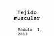 Tejido muscular Módulo I, 2013. OBJETIVO Describir las características microscópicas de la fibra muscular esquelética, la cardíaca y la lisa