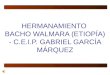 HERMANAMIENTO BACHO WALMARA (ETIOPÍA) - C.E.I.P. GABRIEL GARCÍA MÁRQUEZ