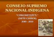 CONSEJO SUPREMO NACIONAL INDIGENA “CHIKOMETEPETL” (SIETE CERROS) 2009 - 2010