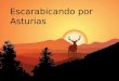 Escarabicando por Asturias BRAÑA DE LA PORNACAL - SOMIEDO