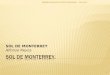 SOL DE MONTERREY Alfonso Reyes 07/05/2015DISEÑO EDUCATIVO GOCP EDICIONES 1