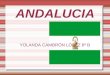 ANDALUCIA YOLANDA CAMBRÓN LÓPEZ 6º B. INDICE  Introducción sobre Andalucía Bandera de cada provincia  Escudo de cada provincia  Información de cada
