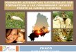 PROMOVER ALTERNATIVAS SUSTENTABLES QUE FORTALEZCAN A LAS COMUNIDADES LOCALES FRENTE AL CAMBIO CLIMÁTICO CHACO SUDAMERICANO