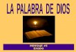 MENSAJE #5 ÉXODO LA PALABRA DE DIOS Cuenta con 40 capítulos. Éxodo significa "salida"
