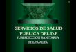 1 SERVICIOS DE SALUD PUBLICA DEL D.F JURISDICCION SANITARIA MILPA ALTA