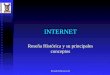 Ricardo Echeverría B. INTERNET Reseña Histórica y su principales conceptos