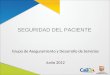 SEGURIDAD DEL PACIENTE Grupo de Aseguramiento y Desarrollo de Servicios Junio 2012