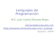 Lenguajes de Programación M.C. Juan Carlos Olivares Rojas jolivares@uvaq.edu.mx jcolivar Agosto, 2009