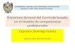 Estructura General del Currículo basado en el modelo de competencias profesionales Expositor: Domingo Huerta Ayacucho, 18 de diciembre de 2014 UNIVERSIDAD