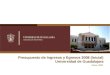1 Presupuesto de Ingresos y Egresos 2008 (Inicial) Universidad de Guadalajara Enero, 2008