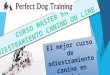 El mejor curso de adiestramiento canino en México