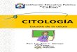 CITOLOGÍA Estudio de la célula Institución Educativa Pública “Callao” Por: Lic. Ana C. Abregú Tineo
