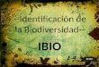 --Identificación de la Biodiversidad-- IBIO 21112
