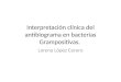 Interpretación clínica del antibiograma en bacterias Grampositivas. Lorena López Cerero