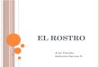 EL ROSTRO Artes Visuales, Katherine Barraza N.. E L ROSTRO Expresión Postura Gesto Actitud Proporciones