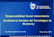1 Responsabilidad Social Universitaria: Incubadoras Sociales del Tecnológico de Monterrey Noviembre, 2007 Ing. Hilda Catalina Cruz Solís Vicerrectoría