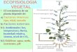 LUIS ROSSI1 El crecimiento de un planta depende de: a) Factores internos : tipo, edad, tamaño b) Factores externos : b1) Ambientales: luz, temperatura,