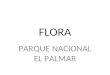 FLORA PARQUE NACIONAL EL PALMAR. AUTOCTONAS CINA