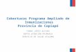 Coberturas Programa Ampliado de Inmunizaciones Provincia de Copiapó FANNY LÓPEZ ALFARO DEPTO.ATENCIÓN PRIMARIA SERVICIO DE SALUD ATACAMA