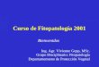 Curso de Fitopatología 2001 Bienvenidos Ing. Agr. Vivienne Gepp, MSc. Grupo Disciplinario: Fitopatología Departamemento de Protección Vegetal