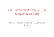 La Informática y la Organización M.C. Juan Carlos Olivares Rojas