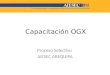 Capacitación OGX Proceso Selectivo AIESEC AREQUIPA