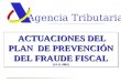 ACTUACIONES DEL PLAN DE PREVENCIÓN DEL FRAUDE FISCAL (14-11-2005) Agencia Tributaria