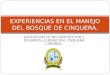 ASOCIACION DE RECONSTRUCION Y DESARROLLO MUNICIPAL CINQUERA CABAÑAS. EXPERIENCIAS EN EL MANEJO DEL BOSQUE DE CINQUERA