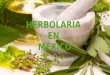 HERBOLARIA EN MÉXICO.  OBJETIVO: El alumno conoce y aprende qué es la herbolaria, sus usos y aplicaciones.  TEMA: Herbolaria en México  DESARROLLO: