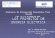 LOS PROYECTOS DE ENERGIA ELECTRICA Lima 15 de enero de 2010 Seminario de Integración Energética Perú – Brasil Lima, 14 y 15 de Enero de 2010 Luis A. Bedoya