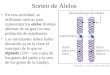 Sorteo de Alelos En esta actividad, se utilizaran canicas para representar los alelos (formas alternas de un gen) en una población de estudiantes. Los