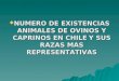 NUMERO DE EXISTENCIAS ANIMALES DE OVINOS Y CAPRINOS EN CHILE Y SUS RAZAS MAS REPRESENTATIVAS